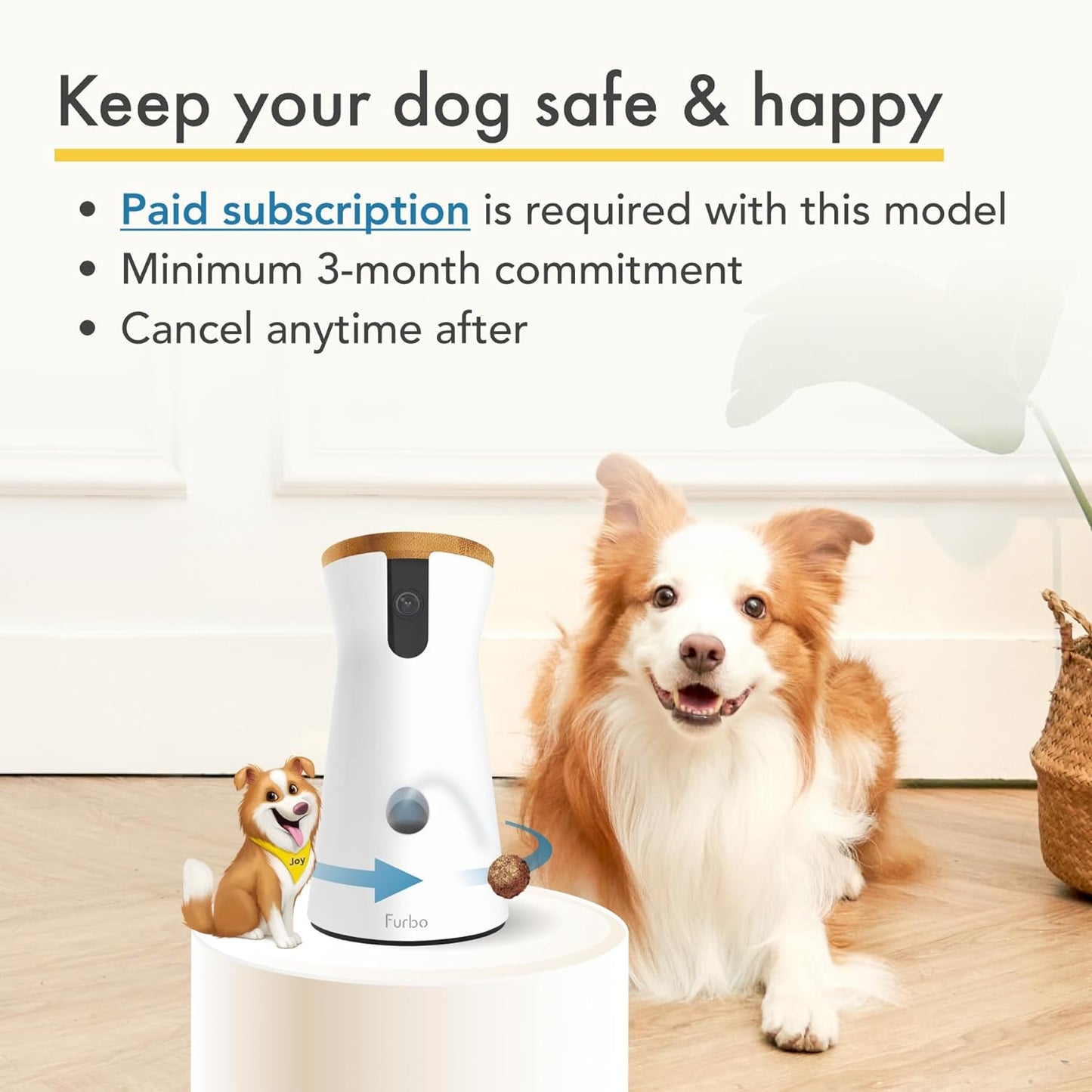 360° Cat Camera: See Your Cat from Anywhere | Rotating 360° Cat Tracking, Treat Toss, Color HD Night Vision, 2-Way Audio, Real-Time Notifications, Designed for Cats | Pet Camera w/Phone App